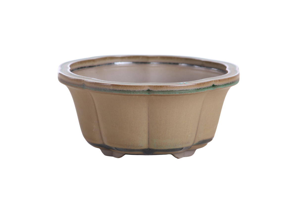 Lotus A Bonsai Pot 6 Inch – Semi‑Cascade Ceramic Planter with Scalloped Sides, High‑Fired Frost‑Proof Stoneware, Handmade in USA (Speckled Moss)