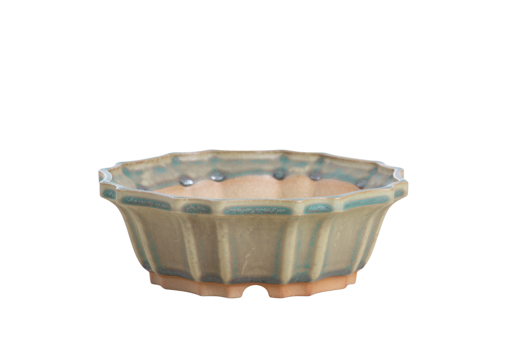 Willow Bonsai Ceramics Flower Design Bonsai Pot 6.5 Inch – Elegant Ceramic Bonsai & Succulent Planter, High‑Fired Frost‑Proof Stoneware with Drainage & Wiring Holes, Handmade in USA (Speckled Moss)