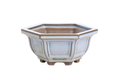 Hexagonal Windowed Semi‑Cascade Bonsai Pot 5 Inch – Ceramic Bonsai & Succulent Planter with Detailed Rim, High‑Fired Frost‑Proof Stoneware, Handmade in USA (Glacier)