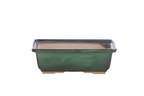 Willow Bonsai Ceramics Rectangle Bonsai Pot 8 Inch – Lower‑Profile Rectangular Ceramic Bonsai & Succulent Planter with Accentuated Rim, High‑Fired Frost‑Proof Stoneware, Handmade in USA (Avocado)
