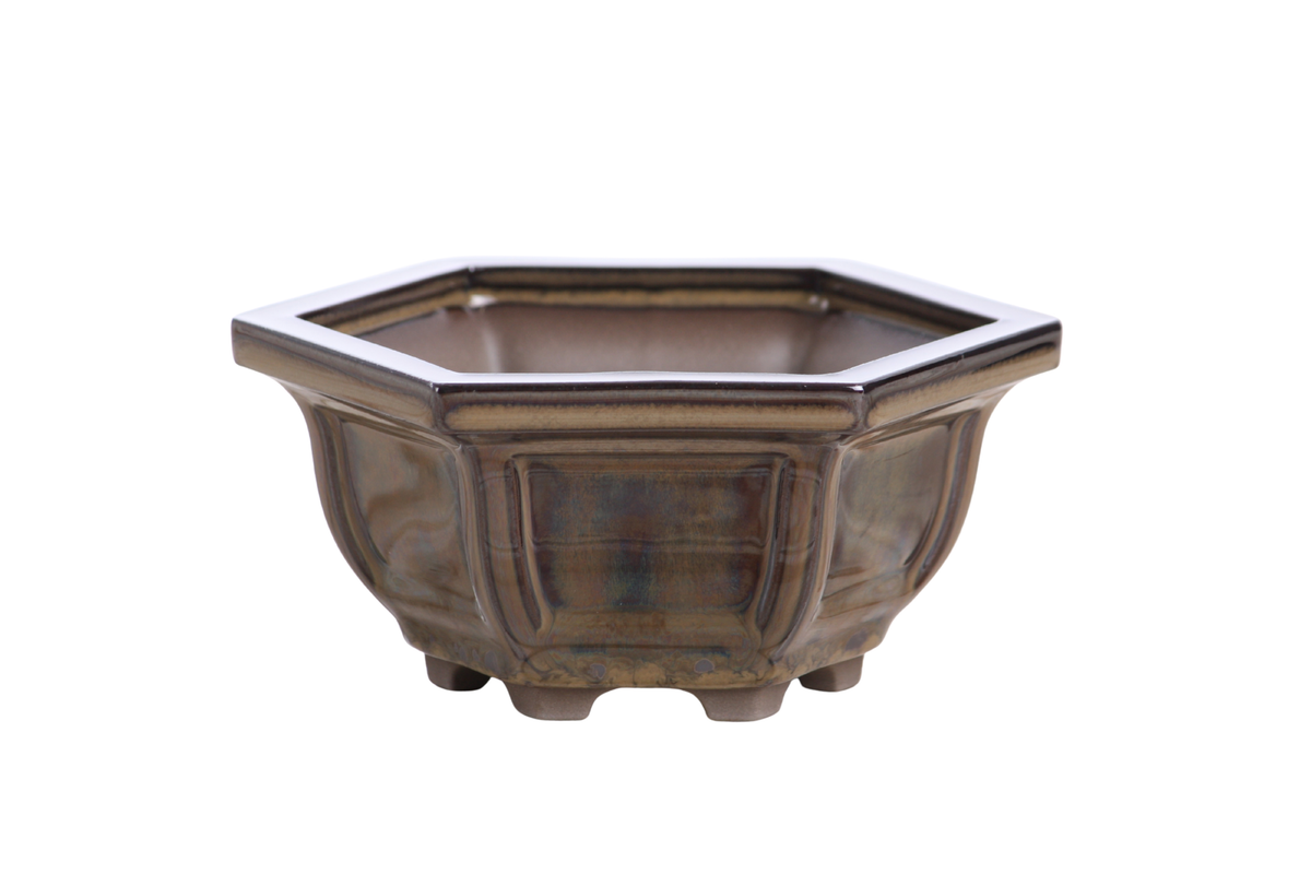 Hexagonal Windowed Semi‑Cascade Bonsai Pot 5 Inch – Ceramic Bonsai & Succulent Planter with Detailed Rim, High‑Fired Frost‑Proof Stoneware, Handmade in USA (Dark Honey)