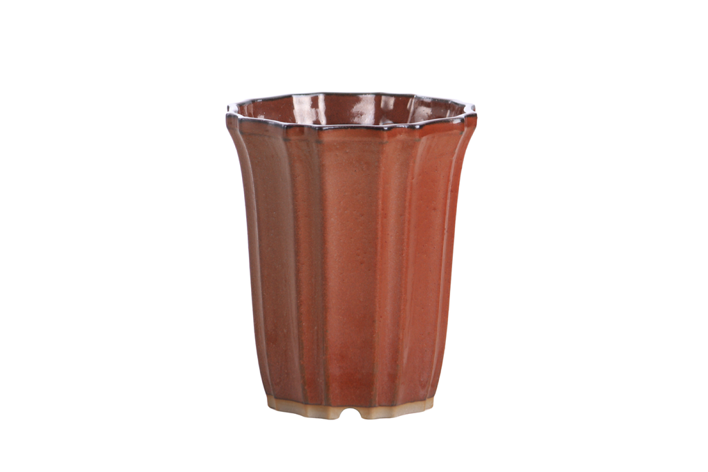 Willow Bonsai Ceramics Flower Design Cascade Bonsai Pot 5 Inch – Elegant Tall Ceramic Bonsai & Succulent Planter, High‑Fired Frost‑Proof Stoneware with Drainage & Wiring Holes, Handmade in USA (Sunset)