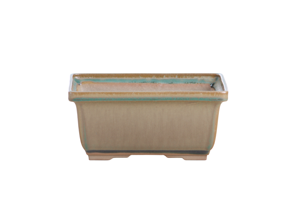 Willow Bonsai Ceramics Rectangle Deep Bonsai Pot 7 Inch – Higher‑Profile Rectangular Ceramic Bonsai & Succulent Planter with Accentuated Rim, High‑Fired Frost‑Proof Stoneware, Handmade in USA (Speckled Moss)