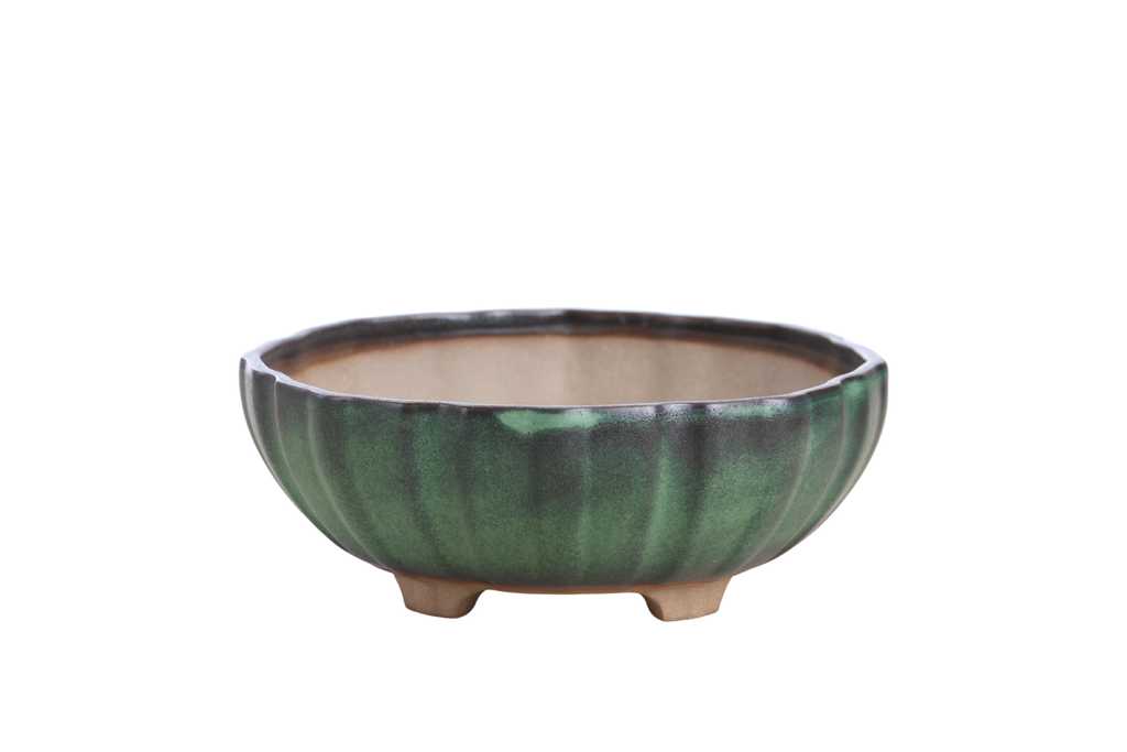 Willow Bonsai Ceramics Lily Bonsai Pot 7 Inch – Sculpted Rounded Ceramic Bonsai & Succulent Planter with Wavy Profile, High‑Fired Frost‑Proof Stoneware, Handmade in USA (Avocado)