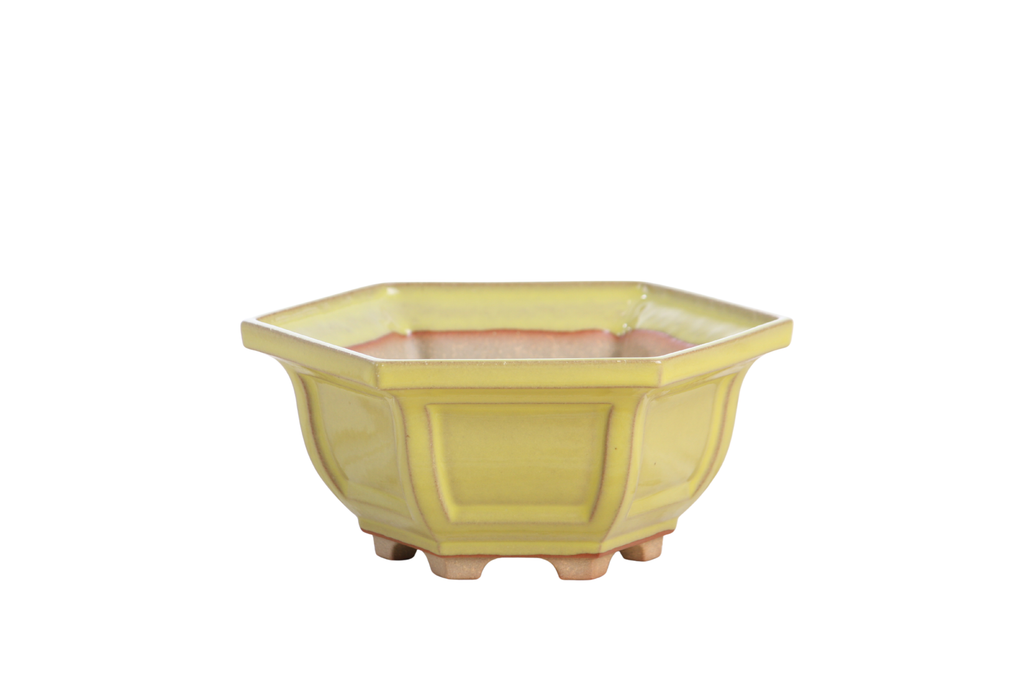 Willow Bonsai Ceramics Hexagonal Windowed Bonsai Pot 5 Inch – Semi‑Cascade Planter, High‑Fired Frost‑Proof Stoneware with Drainage & Wiring Holes, Handmade in USA (Yellow)