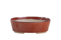 Willow Bonsai Ceramics Oval A Bonsai Pot 8 Inch – Straight‑Sided Oval Ceramic Bonsai & Succulent Planter, High‑Fired Frost‑Proof Stoneware with Drainage & Wiring Holes, Handmade in USA (Sunset)