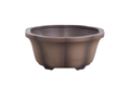 Lotus A Bonsai Pot 6 Inch – Semi‑Cascade Ceramic Planter with Scalloped Sides, High‑Fired Frost‑Proof Stoneware, Handmade in USA (Shaded Unglazed)