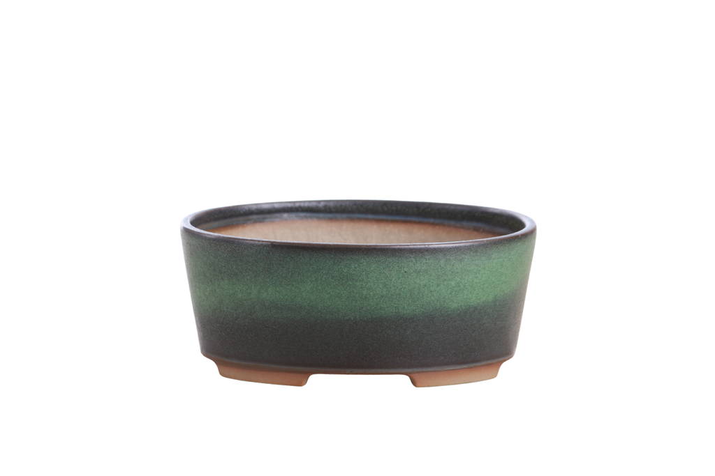 Willow Bonsai Ceramics Oval A Bonsai Pot 6 Inch – Straight‑Sided Oval Ceramic Bonsai & Succulent Planter, High‑Fired Frost‑Proof Stoneware with Drainage & Wiring Holes, Handmade in USA (Avocado)