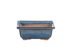 Willow Bonsai Ceramics Square Bonsai Pot 6 Inch – Low‑Profile Square Ceramic Bonsai & Succulent Planter with Accentuated Rim, High‑Fired Frost‑Proof Stoneware, Handmade in USA (Peacock 2025)