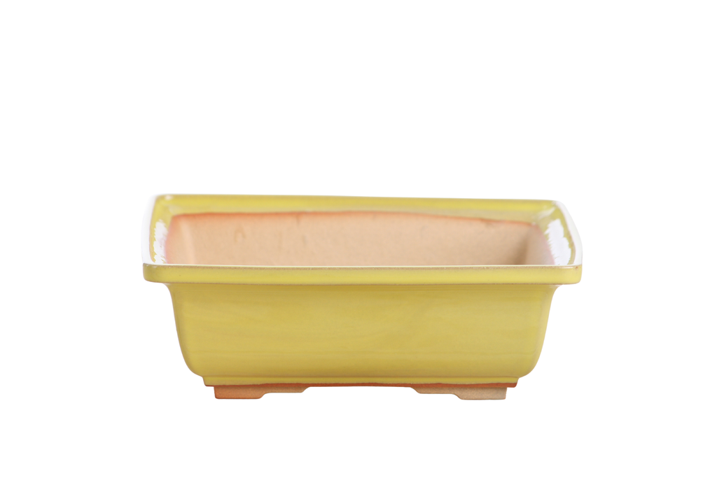 Willow Bonsai Ceramics Square Bonsai Pot 7 Inch – Low‑Profile Square Ceramic Bonsai & Succulent Planter with Accentuated Rim, High‑Fired Frost‑Proof Stoneware, Handmade in USA (Yellow)