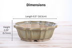 Willow Bonsai Ceramics Flower Design Bonsai Pot 6.5 Inch – Elegant Ceramic Bonsai & Succulent Planter, High‑Fired Frost‑Proof Stoneware with Drainage & Wiring Holes, Handmade in USA (Copenhagen)