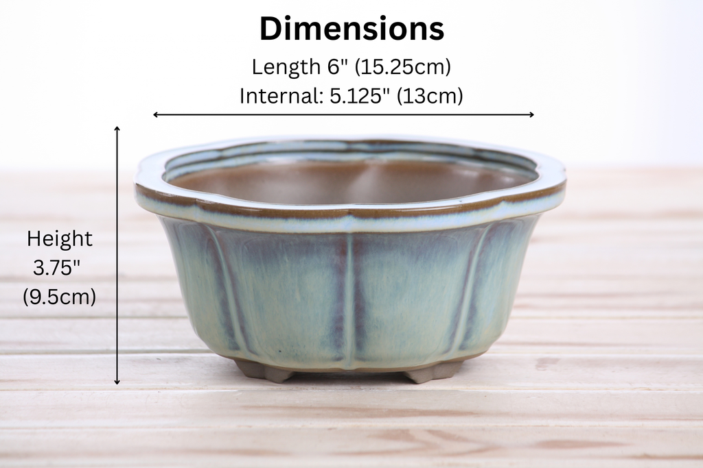 Lotus A Bonsai Pot 6 Inch – Semi‑Cascade Ceramic Planter with Scalloped Sides, High‑Fired Frost‑Proof Stoneware, Handmade in USA (Glacier)