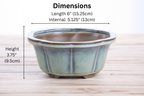 Lotus A Bonsai Pot 6 Inch – Semi‑Cascade Ceramic Planter with Scalloped Sides, High‑Fired Frost‑Proof Stoneware, Handmade in USA (Glacier)