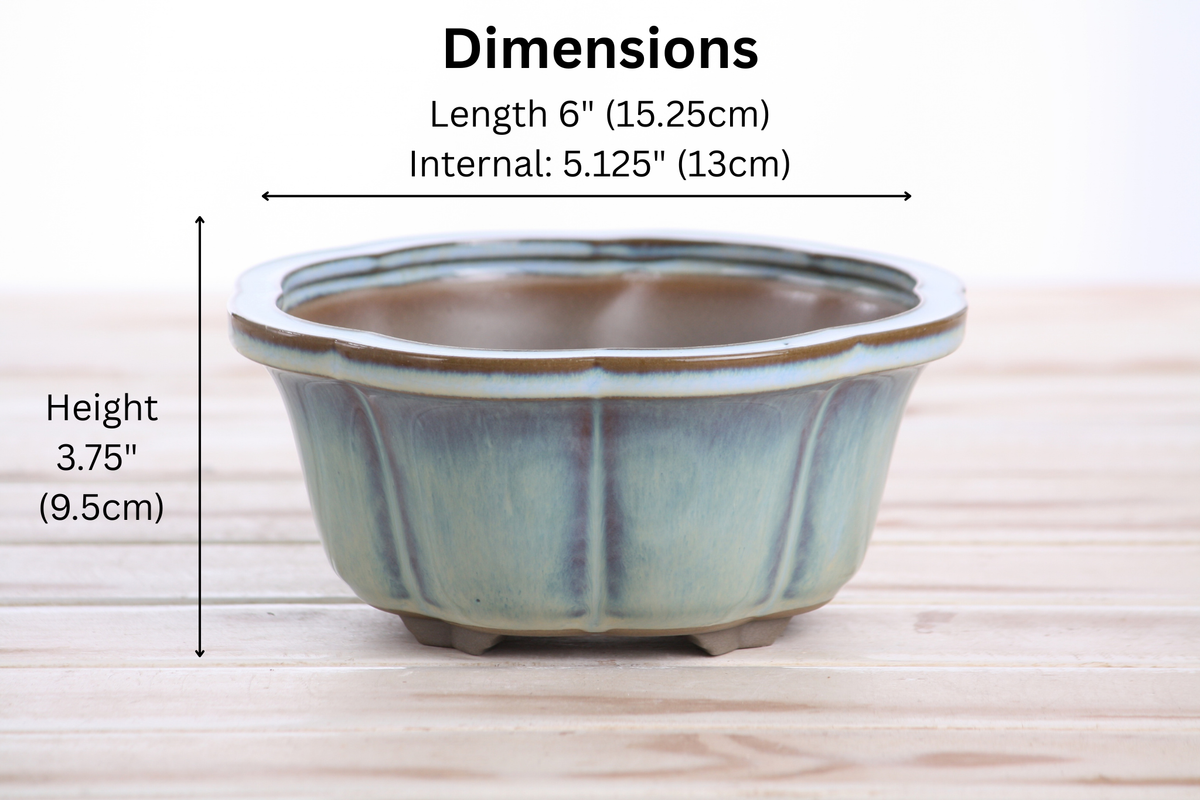 Lotus A Bonsai Pot 6 Inch – Semi‑Cascade Ceramic Planter with Scalloped Sides, High‑Fired Frost‑Proof Stoneware, Handmade in USA (Glacier)