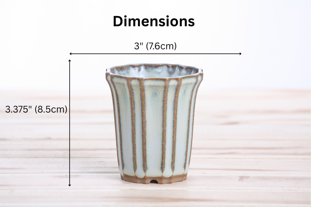 Willow Bonsai Ceramics Flower Design Cascade Bonsai Pot 3 Inch – Elegant Tall Ceramic Bonsai & Succulent Planter, High‑Fired Frost‑Proof Stoneware with Drainage & Wiring Holes, Handmade in USA (Glacier)