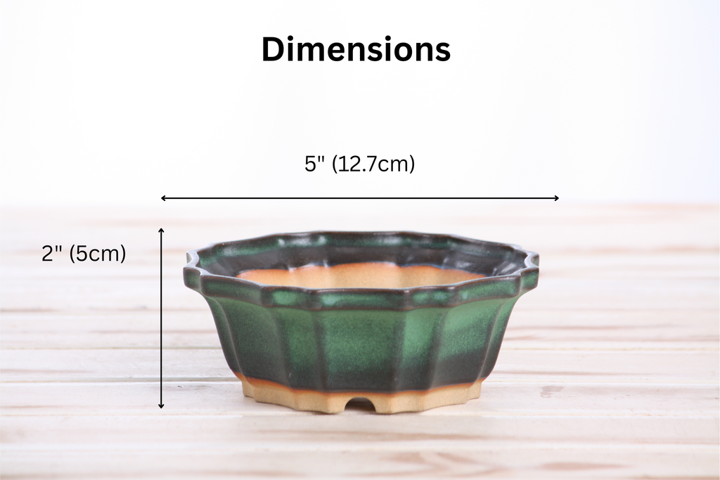 Willow Bonsai Ceramics Flower Design Bonsai Pot 5 Inch – Elegant Ceramic Bonsai & Succulent Planter, High‑Fired Frost‑Proof Stoneware with Drainage & Wiring Holes, Handmade in USA (Avocado)