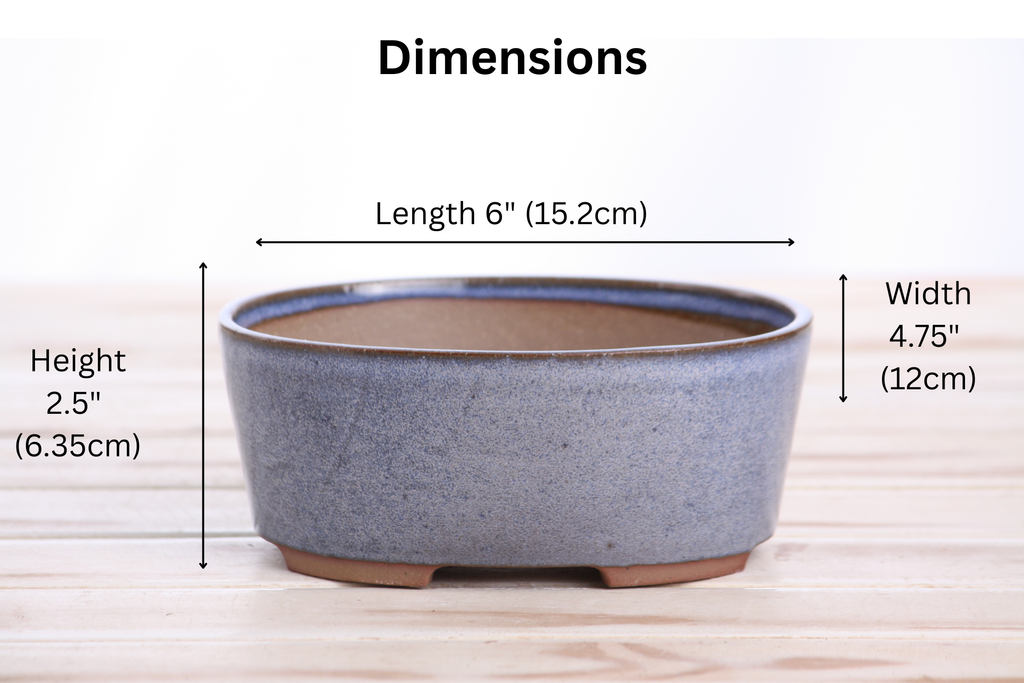 Willow Bonsai Ceramics Oval A Bonsai Pot 6 Inch – Straight‑Sided Oval Ceramic Bonsai & Succulent Planter, High‑Fired Frost‑Proof Stoneware with Drainage & Wiring Holes, Handmade in USA (Denim)