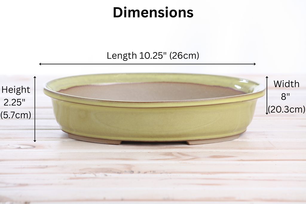 Willow Bonsai Ceramics Landscape Oval A Bonsai Pot 10 Inch – Large Oval Ceramic Bonsai Planter for Forest, Group & Specimen Tree Plantings, High‑Fired Frost‑Proof Stoneware, Handmade in USA (Yellow)