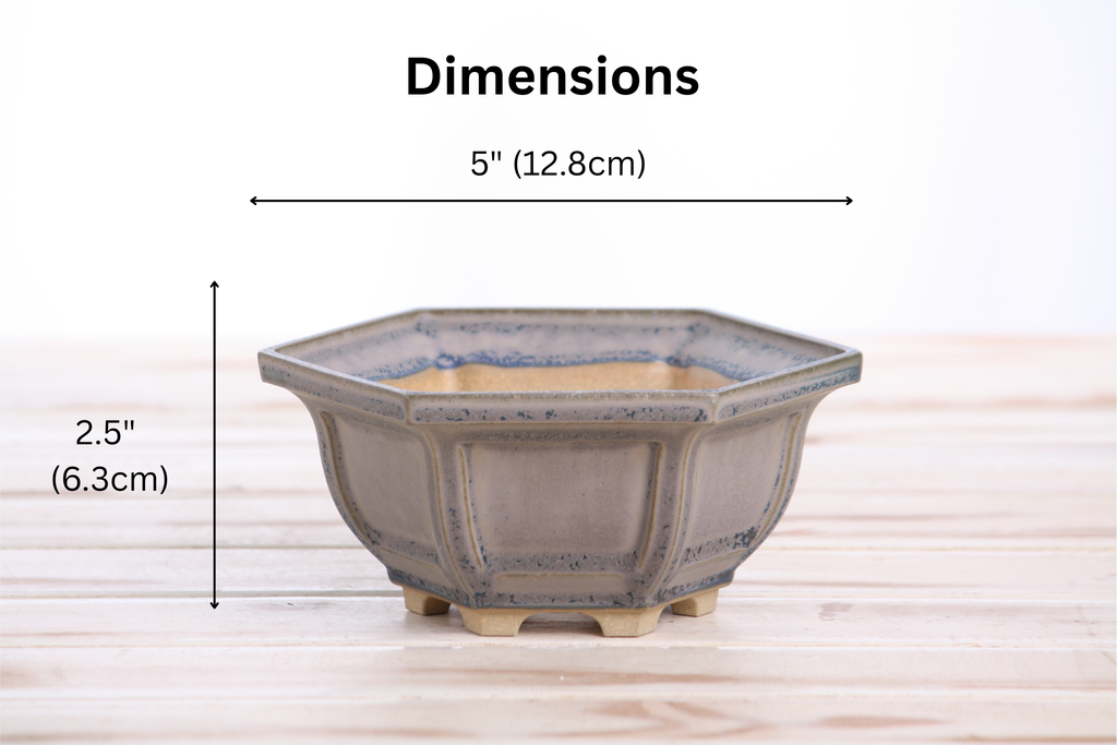 Willow Bonsai Ceramics Hexagonal Windowed Bonsai Pot 5 Inch – Semi‑Cascade Planter, High‑Fired Frost‑Proof Stoneware with Drainage & Wiring Holes, Handmade in USA (Ocean)