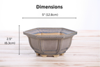 Willow Bonsai Ceramics Hexagonal Windowed Bonsai Pot 5 Inch – Semi‑Cascade Planter, High‑Fired Frost‑Proof Stoneware with Drainage & Wiring Holes, Handmade in USA (Ocean)