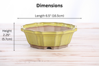 Willow Bonsai Ceramics Flower Design Bonsai Pot 6.5 Inch – Elegant Ceramic Bonsai & Succulent Planter, High‑Fired Frost‑Proof Stoneware with Drainage & Wiring Holes, Handmade in USA (Yellow)