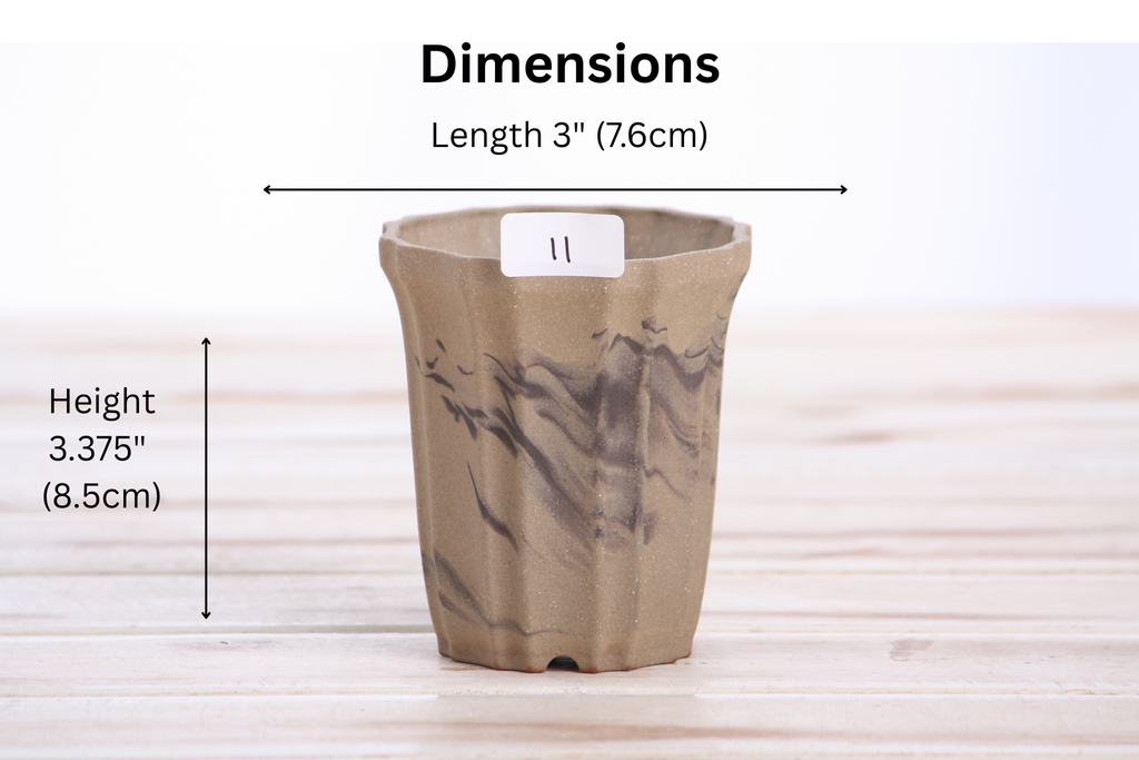 Willow Bonsai Ceramics Flower Design Cascade Bonsai Pot 3 Inch – Elegant Tall Ceramic Bonsai & Succulent Planter, High‑Fired Frost‑Proof Stoneware with Drainage & Wiring Holes, Handmade in USA (Limited Edition 11)