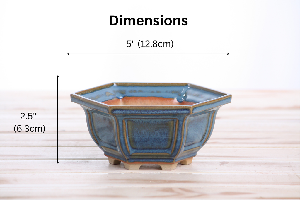 Willow Bonsai Ceramics Hexagonal Windowed Bonsai Pot 5 Inch – Semi‑Cascade Planter, High‑Fired Frost‑Proof Stoneware with Drainage & Wiring Holes, Handmade in USA (Peacock 2025)