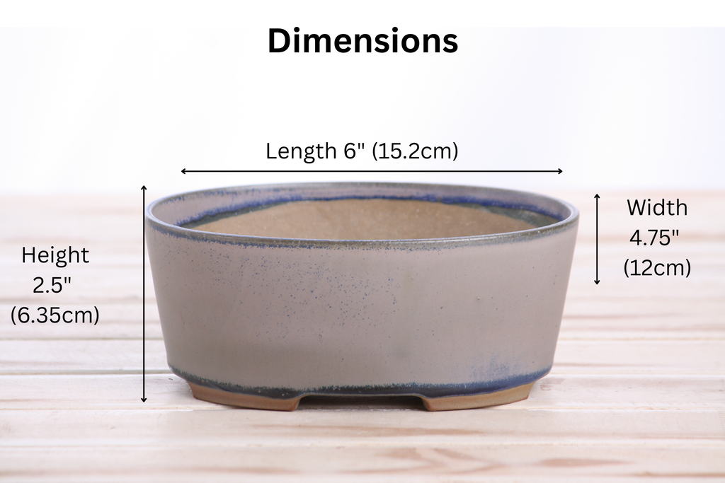 Willow Bonsai Ceramics Oval A Bonsai Pot 6 Inch – Straight‑Sided Oval Ceramic Bonsai & Succulent Planter, High‑Fired Frost‑Proof Stoneware with Drainage & Wiring Holes, Handmade in USA (Ocean)