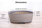 Willow Bonsai Ceramics Oval A Bonsai Pot 6 Inch – Straight‑Sided Oval Ceramic Bonsai & Succulent Planter, High‑Fired Frost‑Proof Stoneware with Drainage & Wiring Holes, Handmade in USA (Ocean)