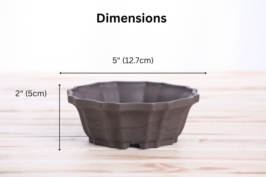 Willow Bonsai Ceramics Flower Design Bonsai Pot 5 Inch – Elegant Ceramic Bonsai & Succulent Planter, High‑Fired Frost‑Proof Stoneware with Drainage & Wiring Holes, Handmade in USA (Unglazed Black)