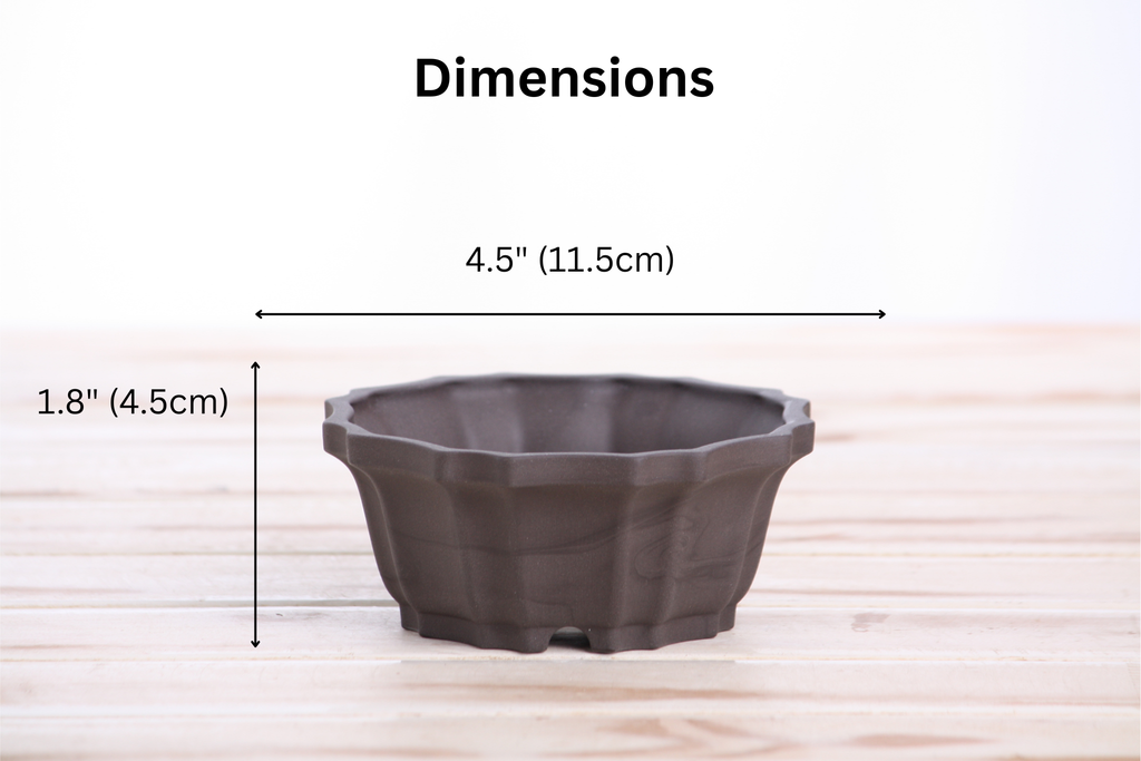 Willow Bonsai Ceramics Flower Design Bonsai Pot 4.5 Inch – Elegant Ceramic Bonsai & Succulent Planter, High‑Fired Frost‑Proof Stoneware with Drainage & Wiring Holes, Handmade in USA (Unglazed Black)
