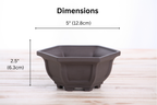 Willow Bonsai Ceramics Hexagonal Windowed Bonsai Pot 5 Inch – Semi‑Cascade Planter, High‑Fired Frost‑Proof Stoneware with Drainage & Wiring Holes, Handmade in USA (Unglazed Black)