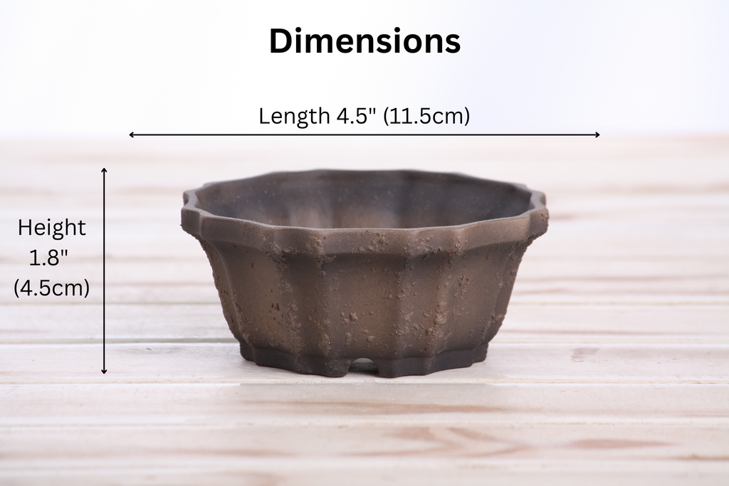 Willow Bonsai Ceramics Flower Design Bonsai Pot 4.5 Inch – Elegant Ceramic Bonsai & Succulent Planter, High‑Fired Frost‑Proof Stoneware with Drainage & Wiring Holes, Handmade in USA (Limited Edition Textured Unglazed 4.5)