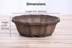 Willow Bonsai Ceramics Flower Design Bonsai Pot 6.5 Inch – Elegant Ceramic Bonsai & Succulent Planter, High‑Fired Frost‑Proof Stoneware with Drainage & Wiring Holes, Handmade in USA (Limited Edition Textured Unglazed 6.5 inch)