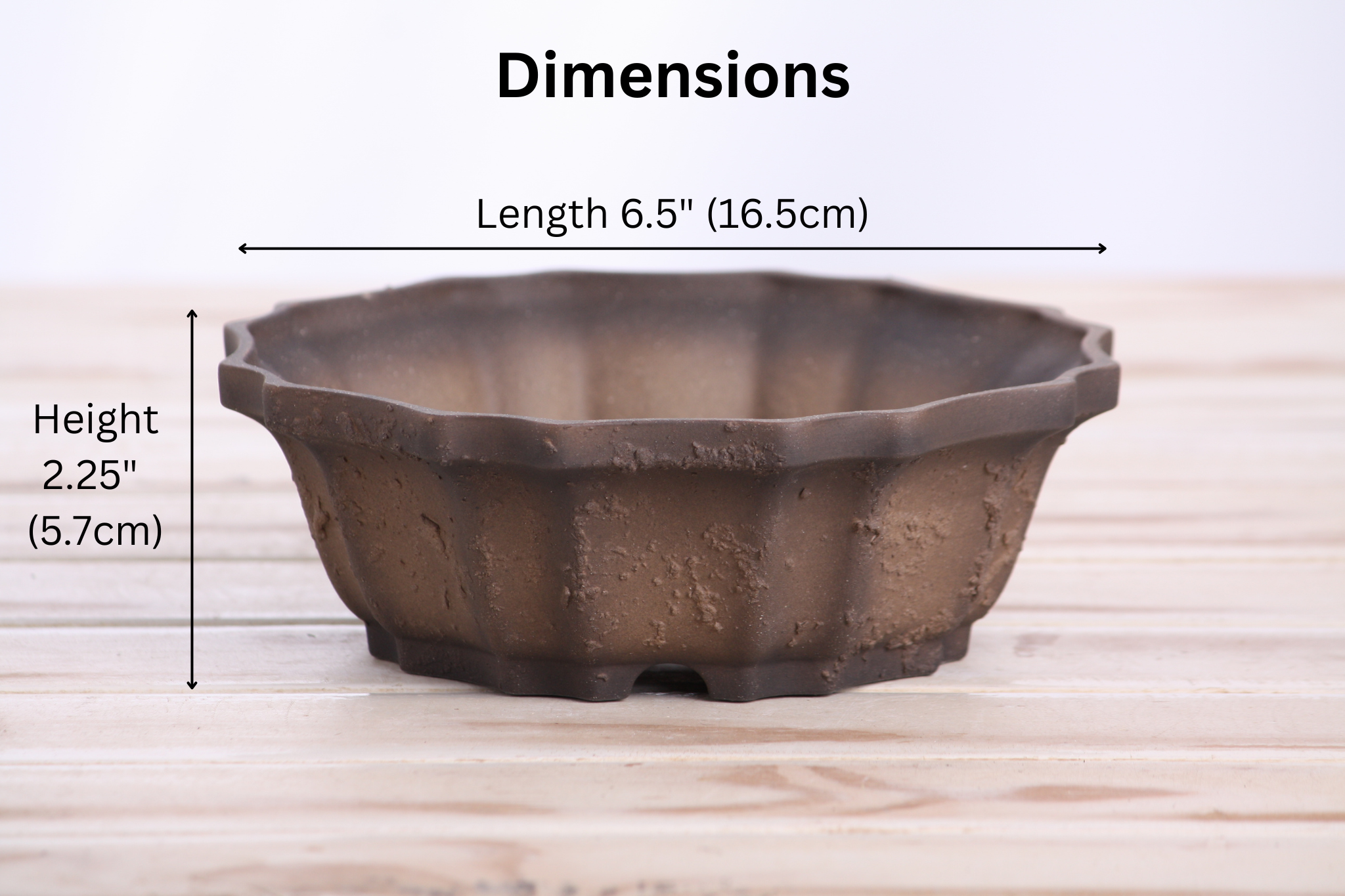 Willow Bonsai Ceramics Flower Design Bonsai Pot 6.5 Inch – Elegant Ceramic Bonsai & Succulent Planter, High‑Fired Frost‑Proof Stoneware with Drainage & Wiring Holes, Handmade in USA (Limited Edition Textured Unglazed 6.5 inch)
