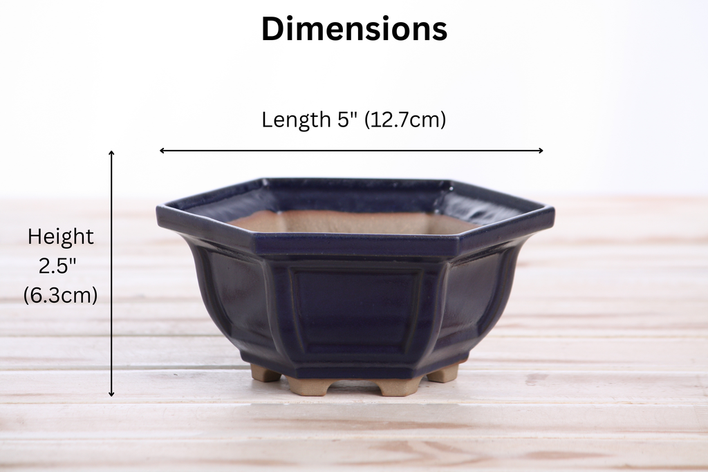 Willow Bonsai Ceramics Hexagonal Windowed Bonsai Pot 5 Inch – Semi‑Cascade Planter, High‑Fired Frost‑Proof Stoneware with Drainage & Wiring Holes, Handmade in USA (Ruri)
