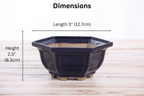 Willow Bonsai Ceramics Hexagonal Windowed Bonsai Pot 5 Inch – Semi‑Cascade Planter, High‑Fired Frost‑Proof Stoneware with Drainage & Wiring Holes, Handmade in USA (Ruri)
