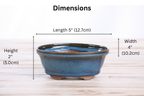 Willow Bonsai Ceramics Oval B Bonsai Pot 5 Inch – Tapered Oval Ceramic Bonsai & Succulent Planter with Accentuated Rim, High‑Fired Frost‑Proof Stoneware, Handmade in USA (Peacock)