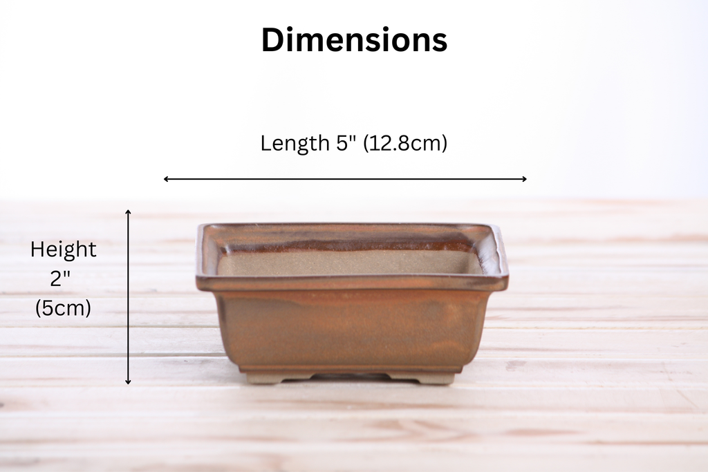Willow Bonsai Ceramics Square Bonsai Pot 5 Inch – Low‑Profile Square Ceramic Bonsai & Succulent Planter with Accentuated Rim, High‑Fired Frost‑Proof Stoneware, Handmade in USA (Deep Stone)
