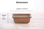 Willow Bonsai Ceramics Square Bonsai Pot 5 Inch – Low‑Profile Square Ceramic Bonsai & Succulent Planter with Accentuated Rim, High‑Fired Frost‑Proof Stoneware, Handmade in USA (Deep Stone)