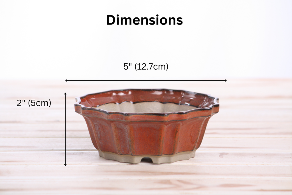 Willow Bonsai Ceramics Flower Design Bonsai Pot 5 Inch – Elegant Ceramic Bonsai & Succulent Planter, High‑Fired Frost‑Proof Stoneware with Drainage & Wiring Holes, Handmade in USA (Sunset)