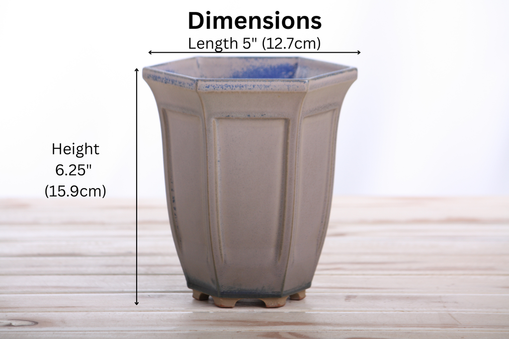 Willow Bonsai Ceramics Hexagonal Windowed Cascade Bonsai Pot 5 Inch – Tall Ceramic Cascade Planter, High‑Fired Frost‑Proof Stoneware with Drainage & Wiring Holes, Handmade in USA (Ocean)