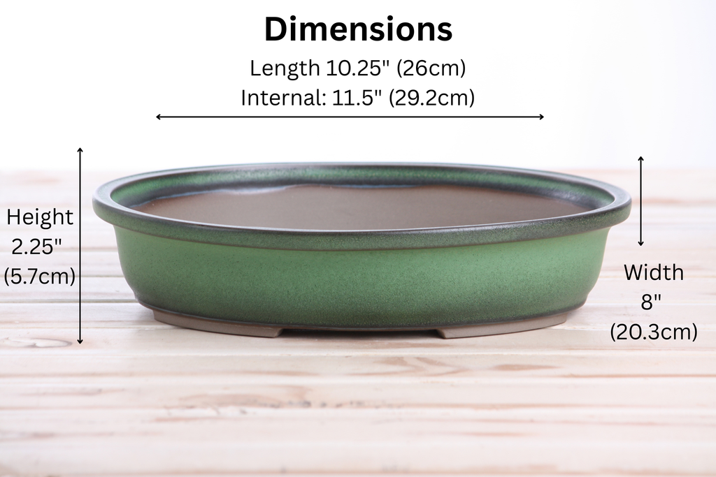 Landscape Oval A Bonsai Pot 10 Inch – Large Oval Ceramic Bonsai Planter for Forest & Group Plantings, Detailed Rim, High‑Fired Frost‑Proof Stoneware, Handmade in USA (Avocado)