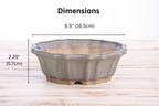 Willow Bonsai Ceramics Flower Design Bonsai Pot 6.5 Inch – Elegant Ceramic Bonsai & Succulent Planter, High‑Fired Frost‑Proof Stoneware with Drainage & Wiring Holes, Handmade in USA (Dark Turquoise)