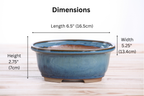 Willow Bonsai Ceramics Fat Bonsai Pot 6.5 Inch – Bold Oval Ceramic Bonsai & Succulent Planter with Accentuated Rim, High‑Fired Frost‑Proof Stoneware, Handmade in USA (Peacock)