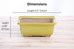 Willow Bonsai Ceramics Square Bonsai Pot 5.5 Inch – Low‑Profile Square Ceramic Bonsai & Succulent Planter with Accentuated Rim, High‑Fired Frost‑Proof Stoneware, Handmade in USA (Yellow)