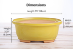 Willow Bonsai Ceramics Fat Bonsai Pot 7.5 Inch – Bold Oval Ceramic Bonsai & Succulent Planter with Accentuated Rim, High‑Fired Frost‑Proof Stoneware, Handmade in USA (Yellow)