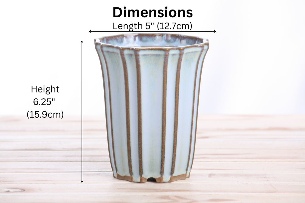 Willow Bonsai Ceramics Flower Design Cascade Bonsai Pot 5 Inch – Elegant Tall Ceramic Bonsai & Succulent Planter, High‑Fired Frost‑Proof Stoneware with Drainage & Wiring Holes, Handmade in USA (Glacier)