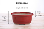 Willow Bonsai Ceramics Fat Bonsai Pot 5.5 Inch – Bold Oval Ceramic Bonsai & Succulent Planter with Accentuated Rim, High‑Fired Frost‑Proof Stoneware, Handmade in USA (Red)