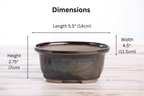 Willow Bonsai Ceramics Fat Bonsai Pot 5.5 Inch – Bold Oval Ceramic Bonsai & Succulent Planter with Accentuated Rim, High‑Fired Frost‑Proof Stoneware, Handmade in USA (Dark Honey)